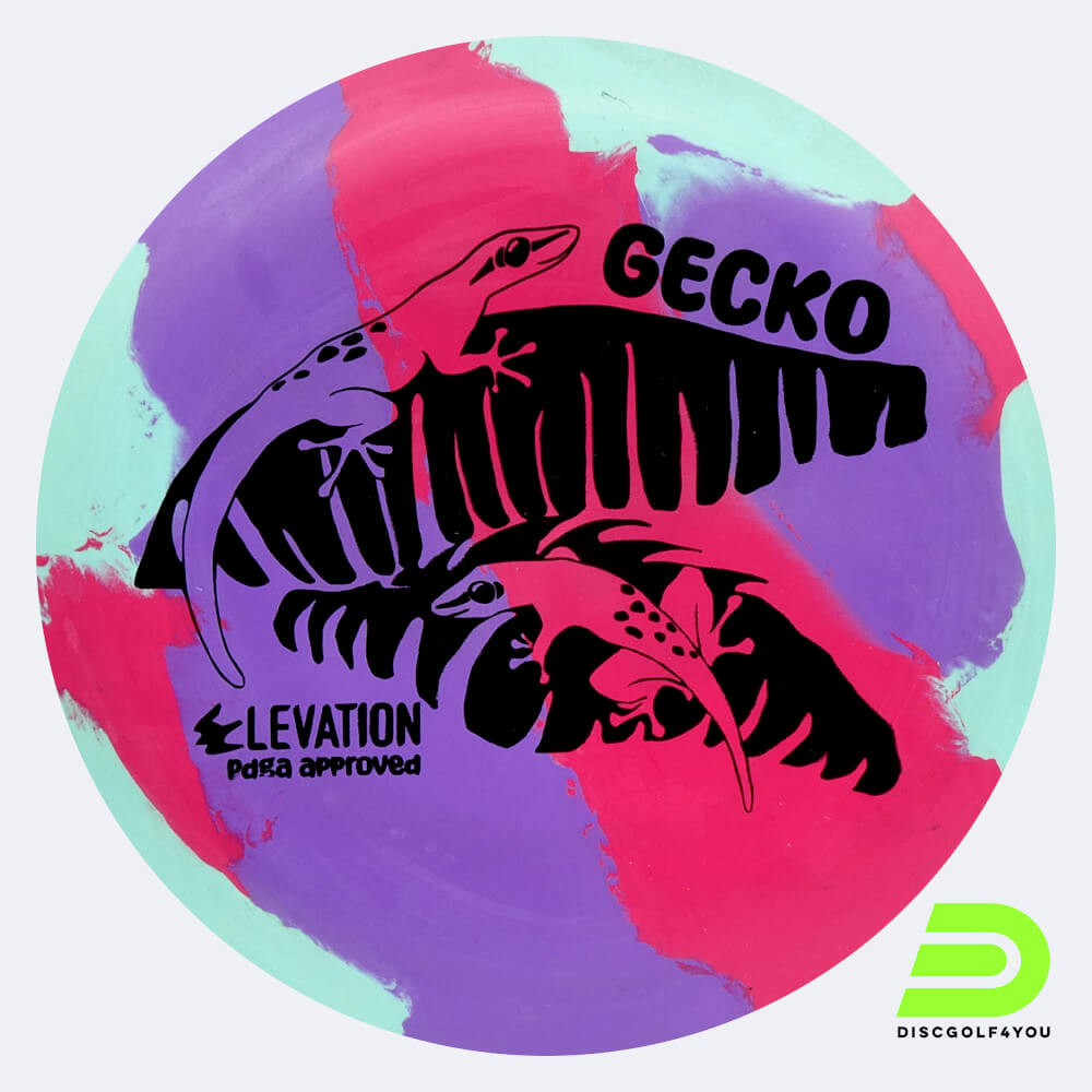 Elevation Gecko in purple, ecoflex plastic and burst effect Elevation Gecko in purple, ecoflex plastic and burst effect